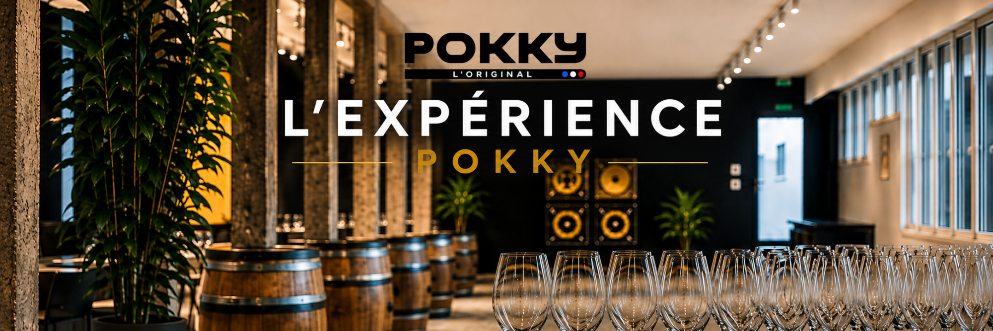 L&rsquo;Exp&eacute;rience POKKY arrive &agrave; Nancy ! Jarville-la-Malgrange